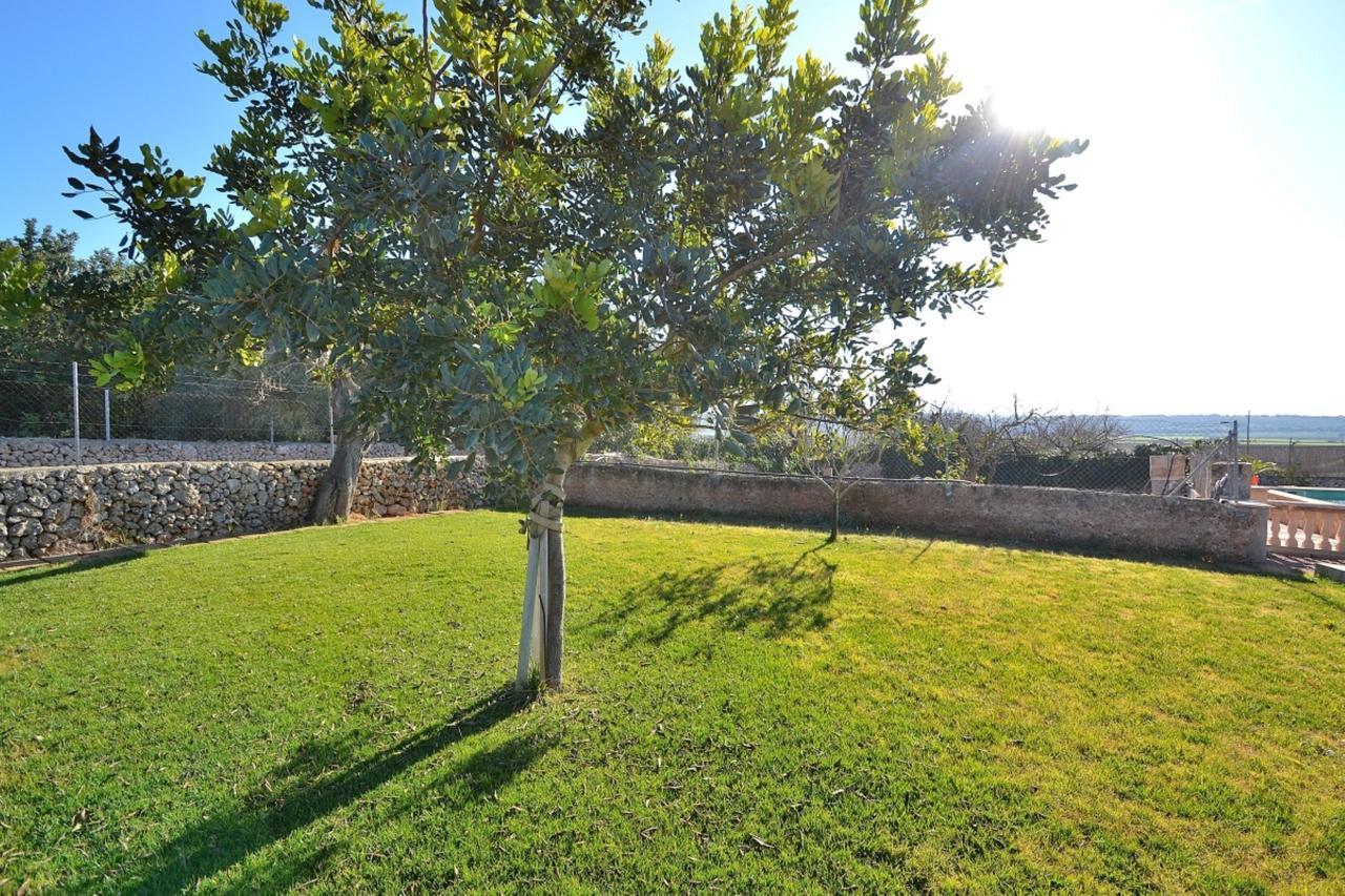 078 Finca Sa Rota Vt1953 By Mallorca Charme อาริอานี ภายนอก รูปภาพ